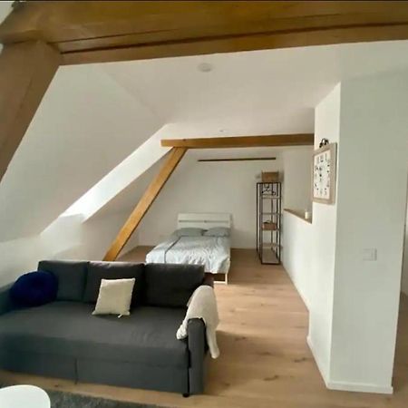 Studio Cosy Comme A La Maison Мюлуз Екстер'єр фото
