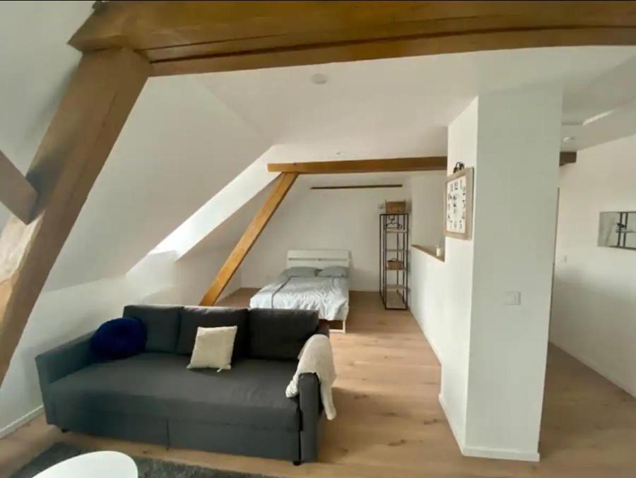 Studio Cosy Comme A La Maison Мюлуз Екстер'єр фото