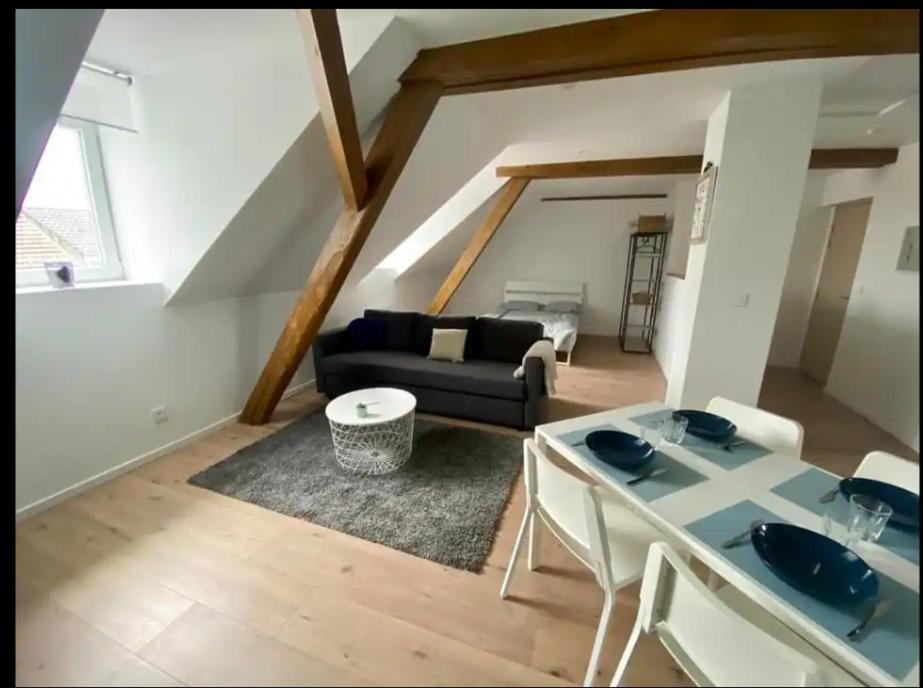 Studio Cosy Comme A La Maison Мюлуз Екстер'єр фото